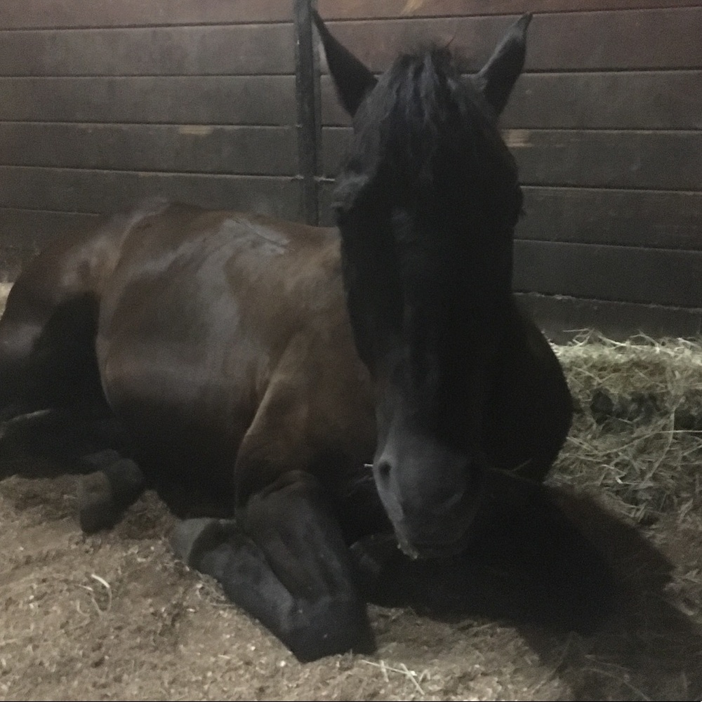 Meet your Posher, Megan